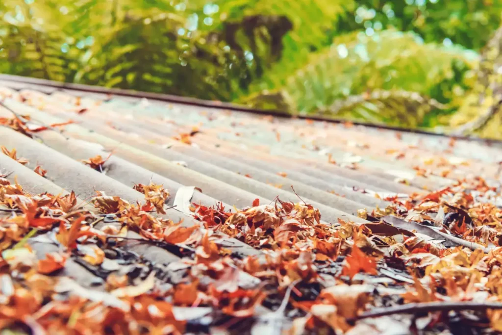 Spring Roofing